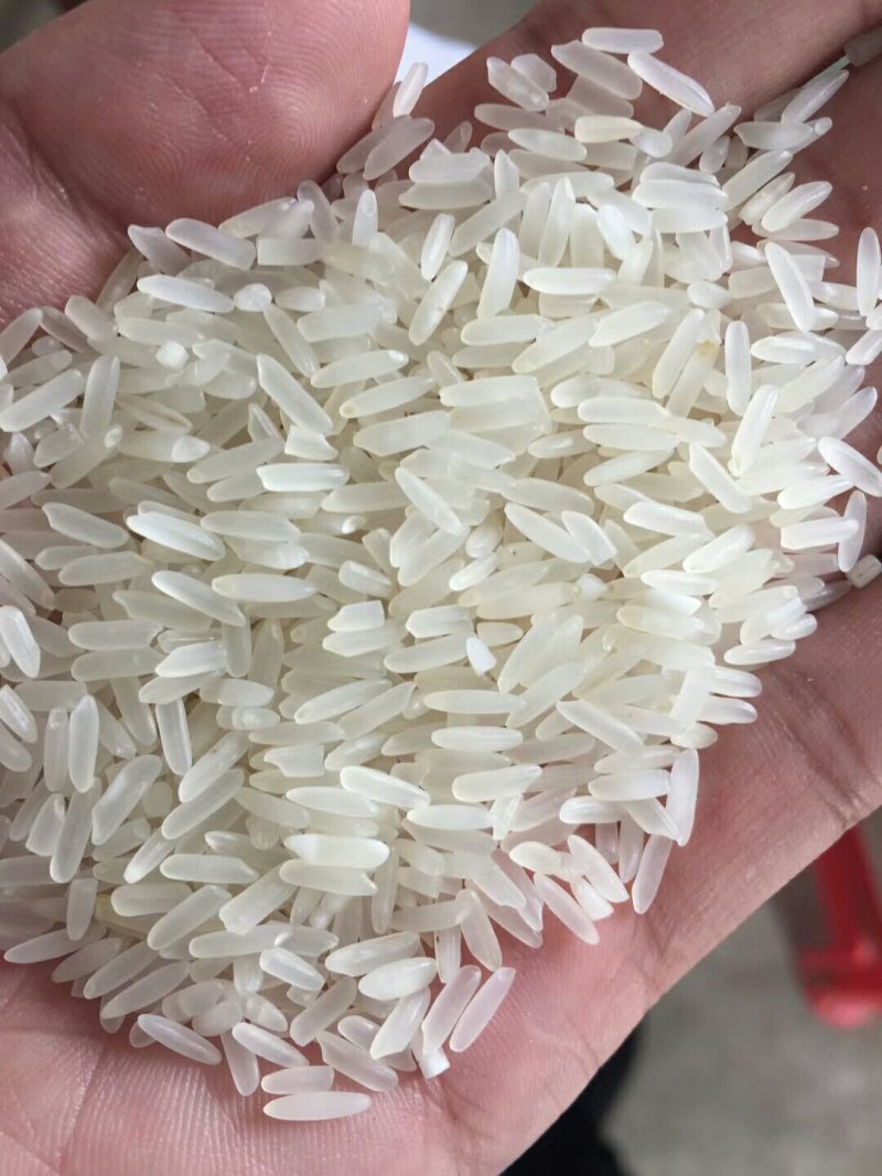 黄花粘
