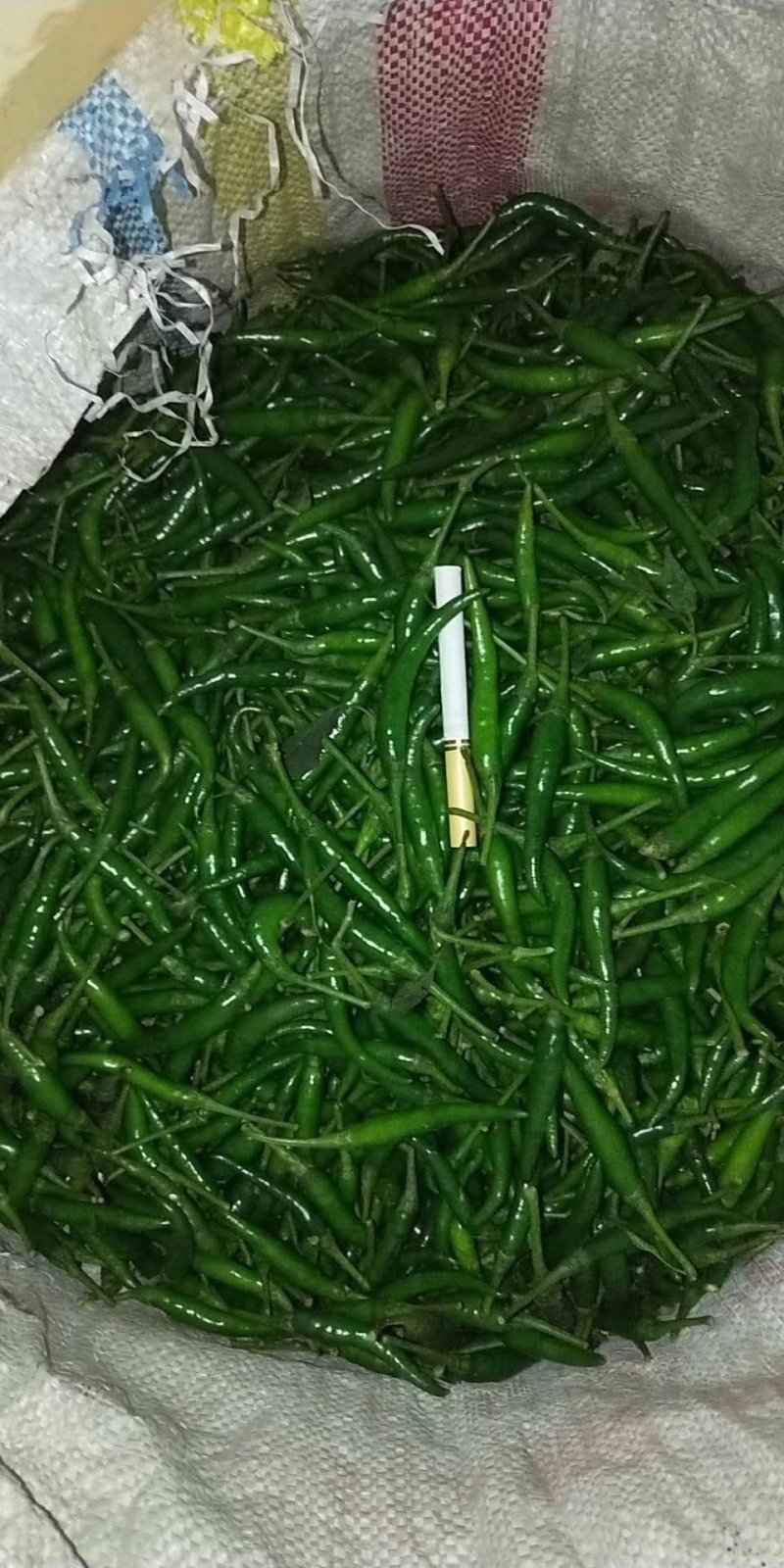 艳红青辣椒青小米椒产地直供可视频货