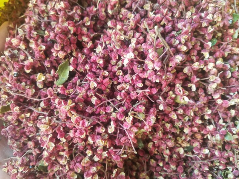 甘肃临夏，精品花椒，