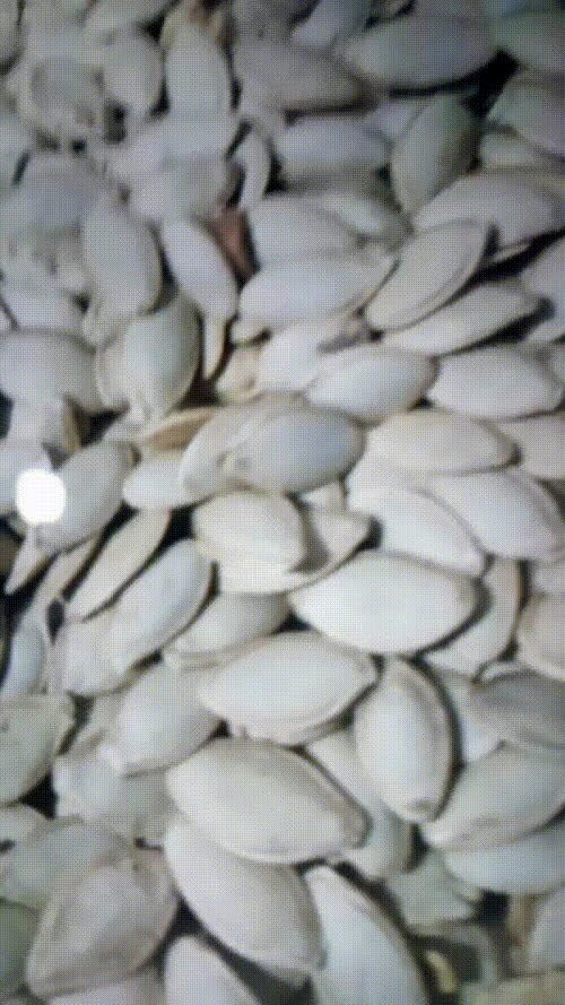 新货上市快来订购