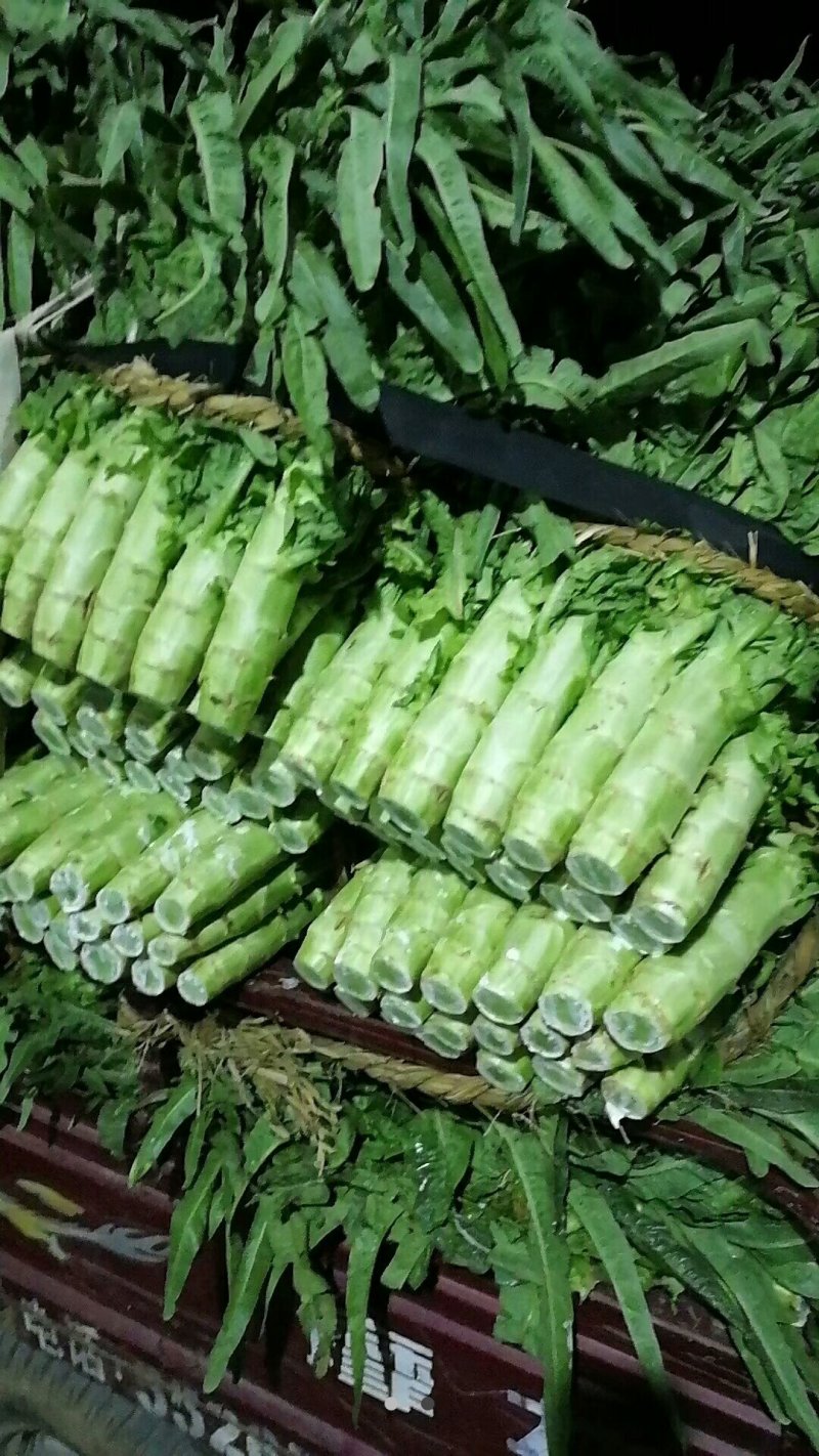 红尖叶莴笋，三青莴笋已大量上市，有要的速联系