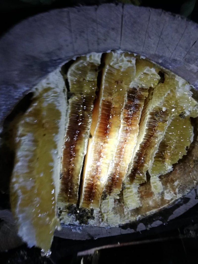 中华蜂蜂蜜