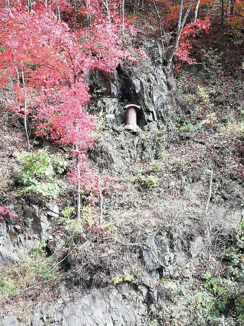 中华蜂蜂蜜