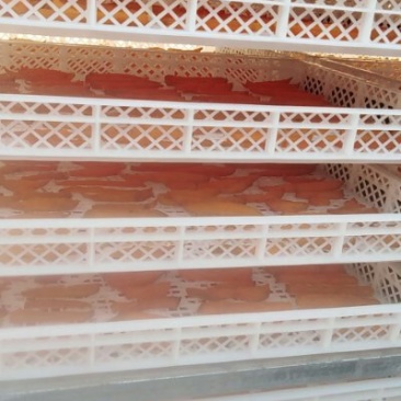 红薯干