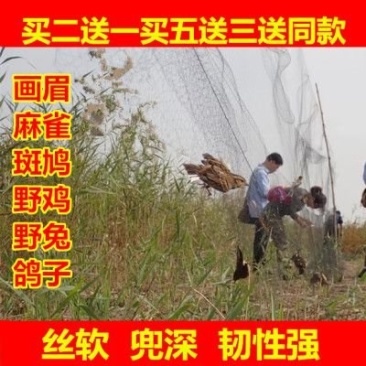 画眉网