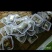 油炸冷冻小鲫鱼