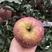 大凉山丑苹果🍎🍎🍎爽口，脆甜，的确勾起您的味