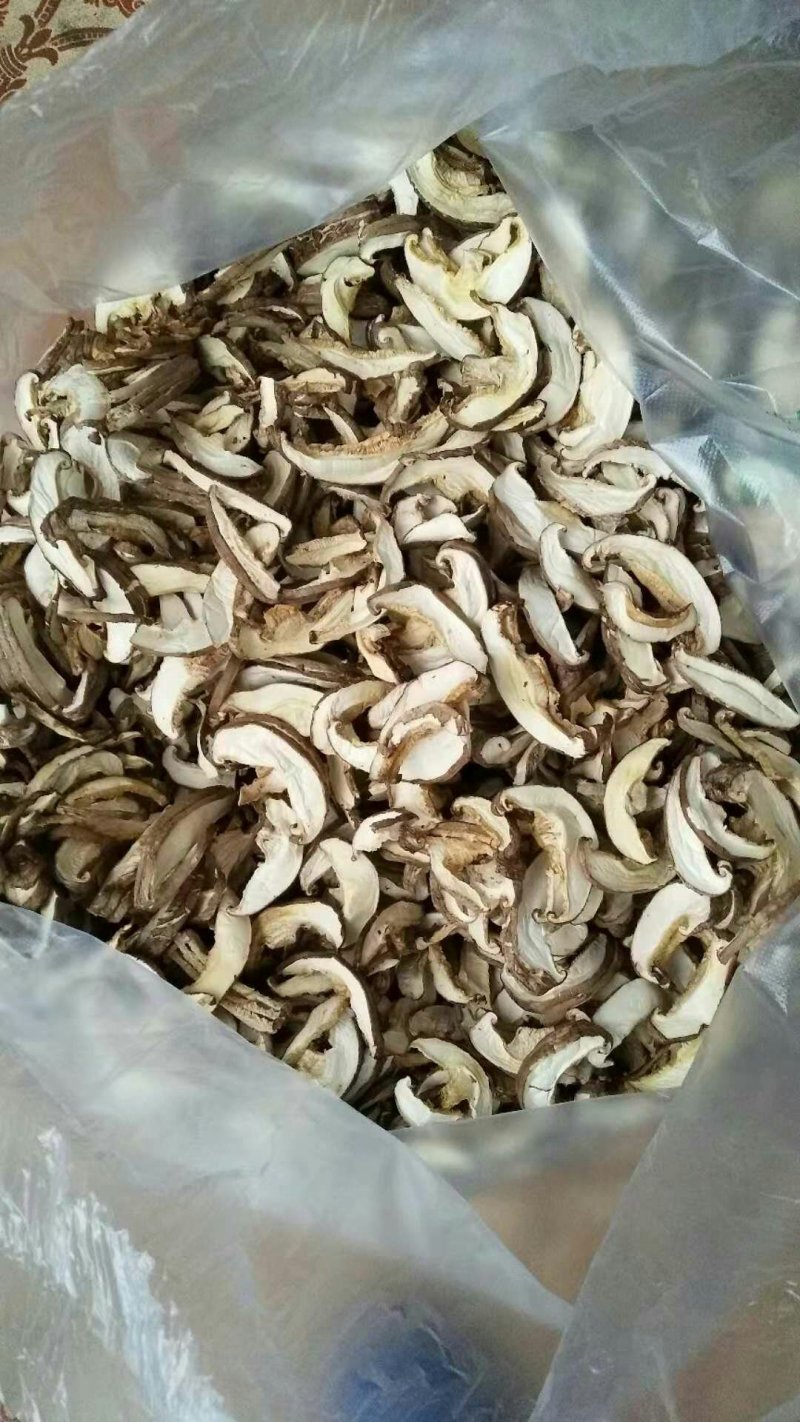香菇切片