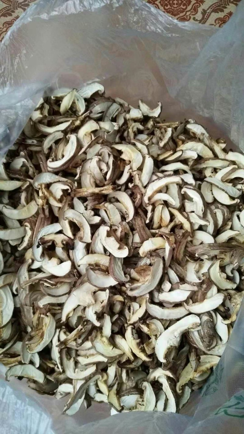 香菇切片