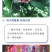 黑老虎果（布福娜）果药食合一养身奇特果原产地