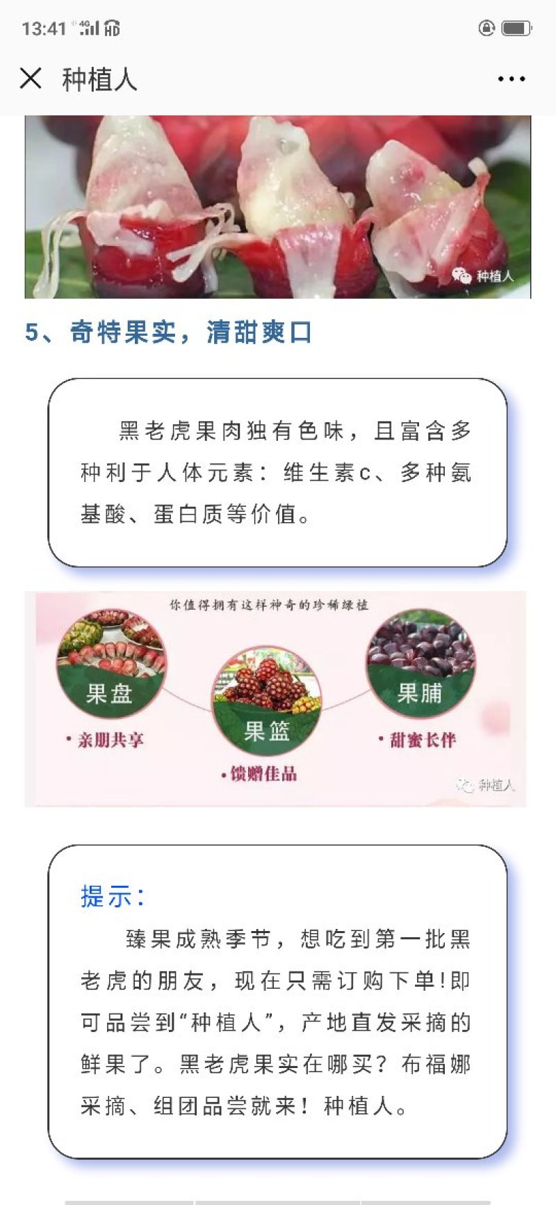 黑老虎果（布福娜）果药食合一养身奇特果原产地