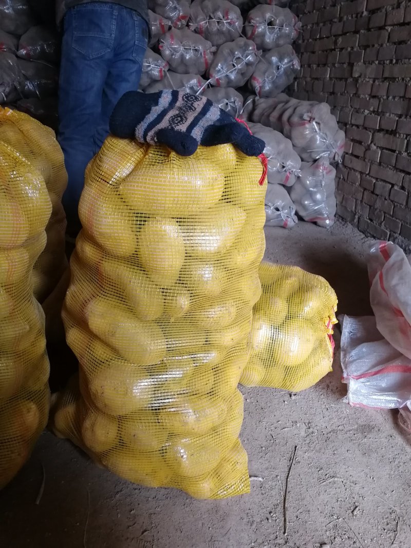 陇暑七号土豆，黄皮黄心，三两起步，包装可以自由选择