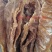 水煮笋干淡笋干