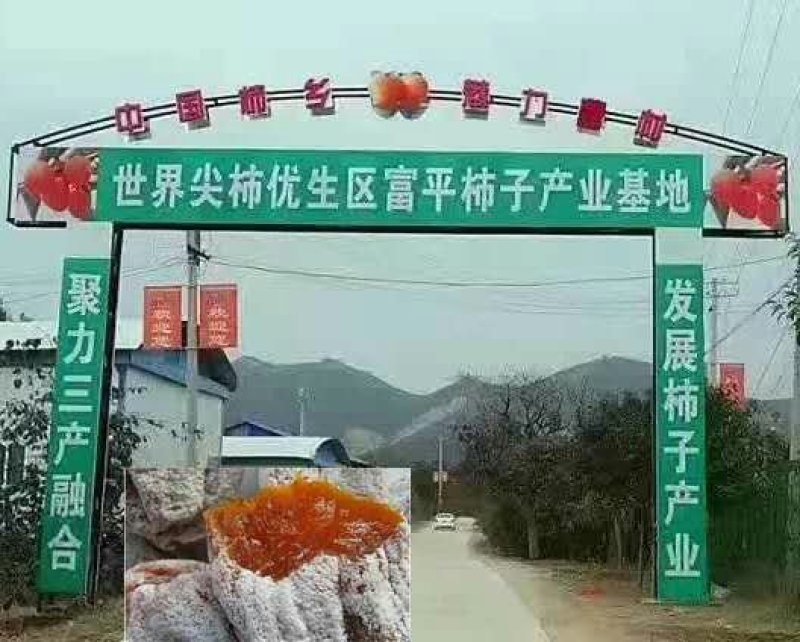 富平霜降柿饼预售