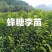 蜂糖李苗贵州六马蜂糖李苗原产地蜂糖李苗