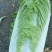 大白菜玉田大白菜大量上市，有北京三号，秋绿，大小黄心菜，