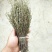 独脚金，暴晒，无硫，青绿