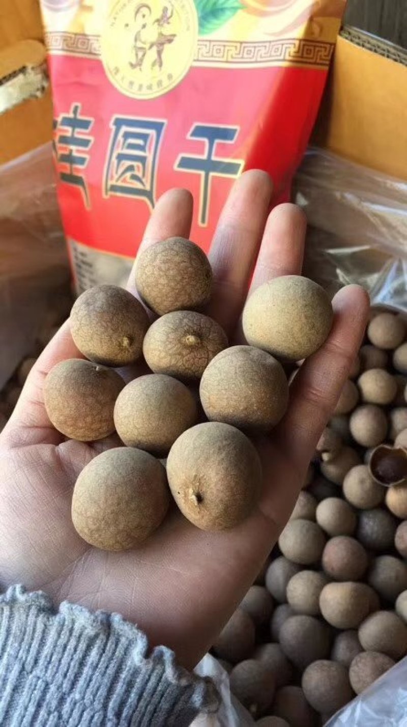 泰国进口龙眼干，批发一件代发