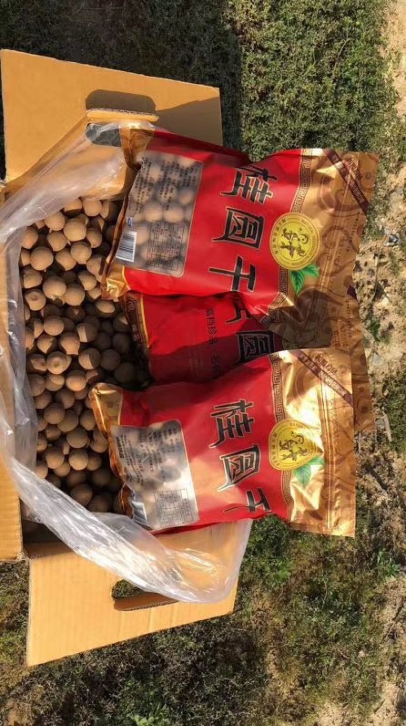 泰国进口龙眼干，批发一件代发