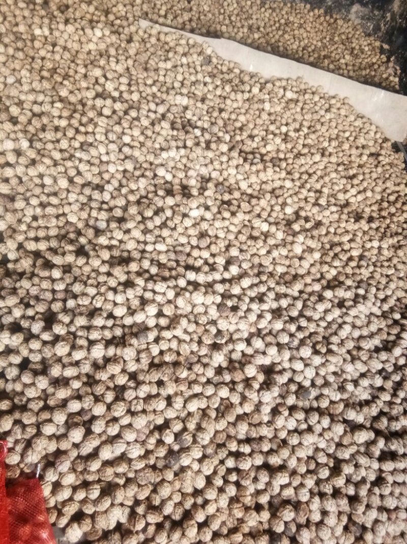 云南大理大泡薄皮核桃厂家直发质量保证量大从优