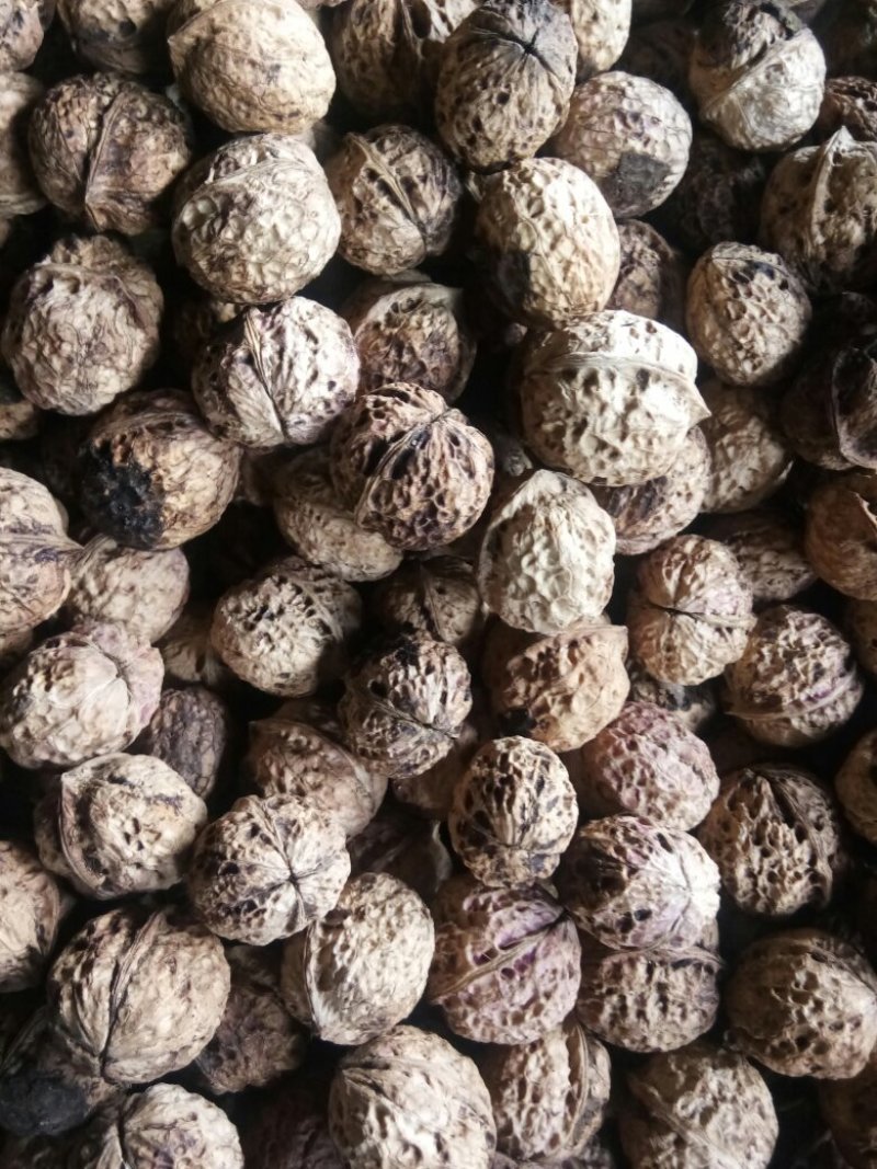 云南大理大泡薄皮核桃厂家直发质量保证量大从优