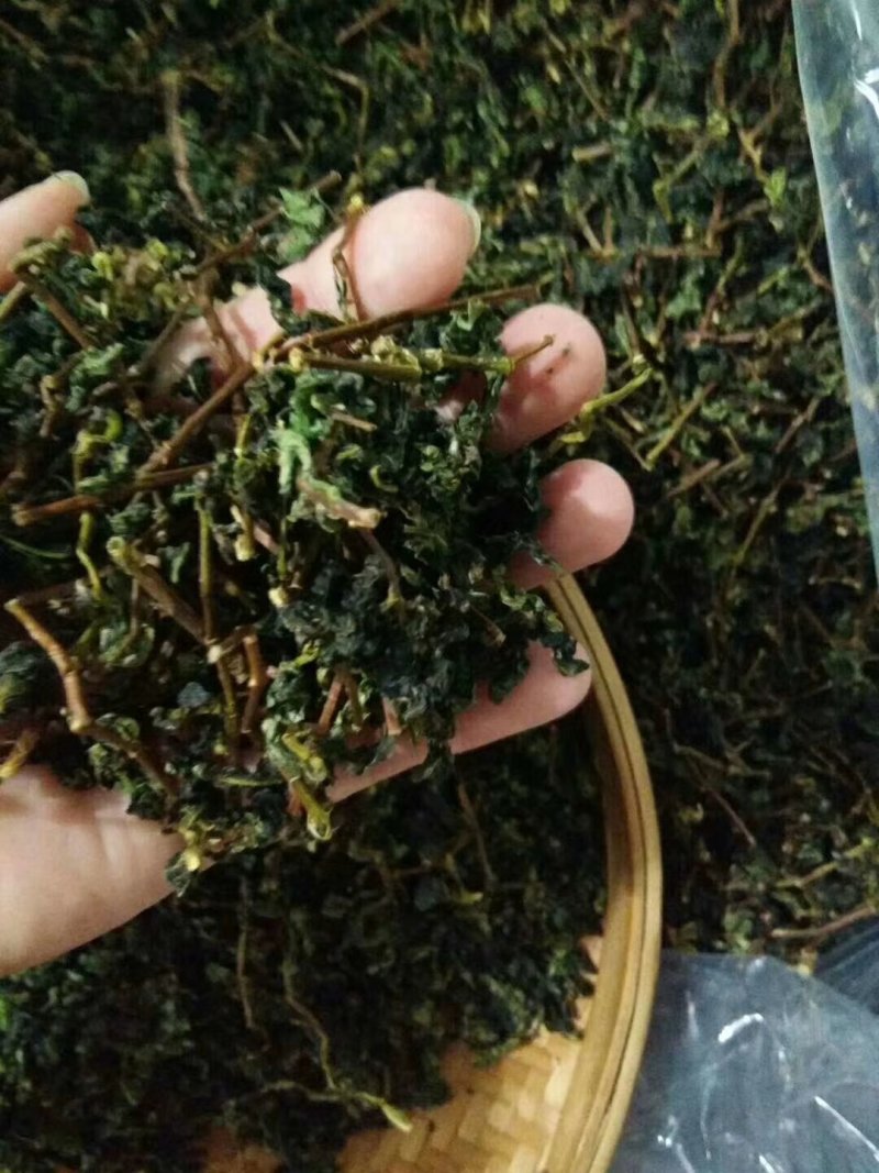 第一正味、铁观音茶
