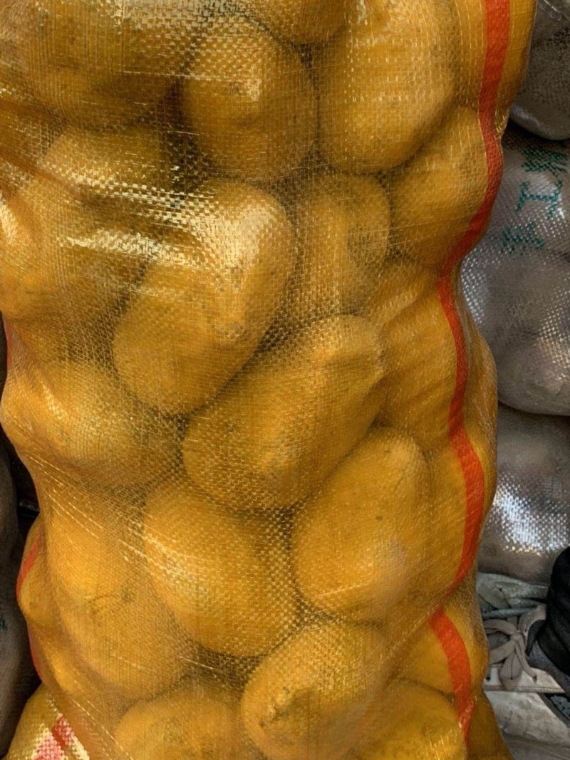 甘肃土豆，陇薯7，10，青薯9