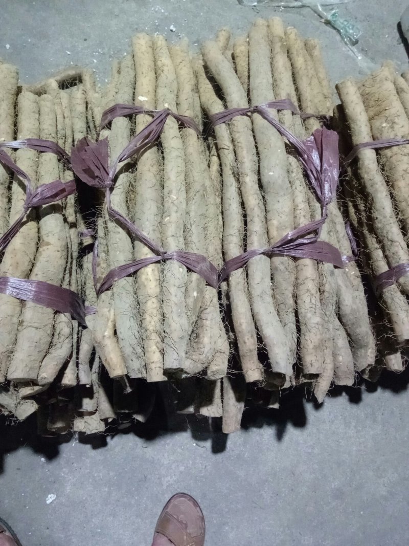 精品去皮山药，带皮小白嘴