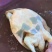 鳖