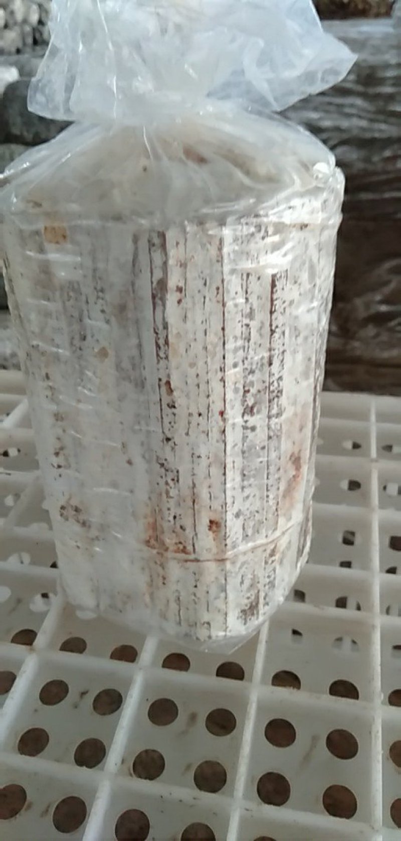 菌棒
