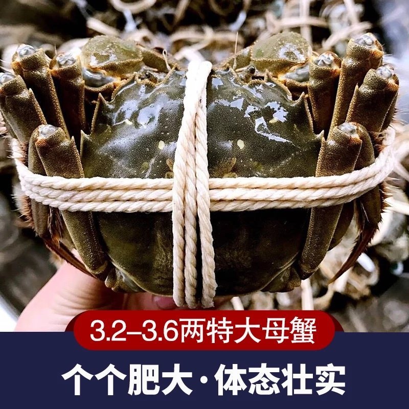 自产自销大闸蟹