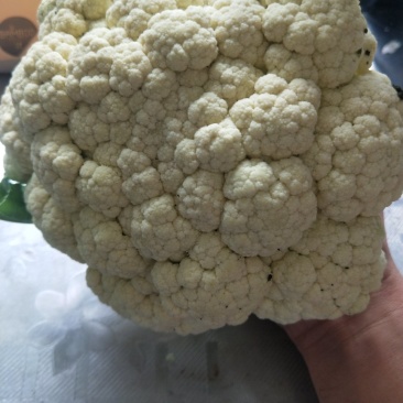 青梗菜