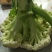 青梗菜