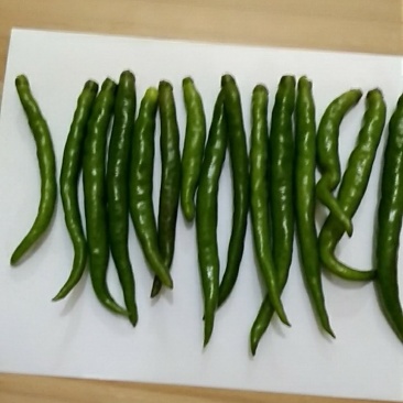 二荆条青椒，价格可以面议。高山辣椒，品质优异，
