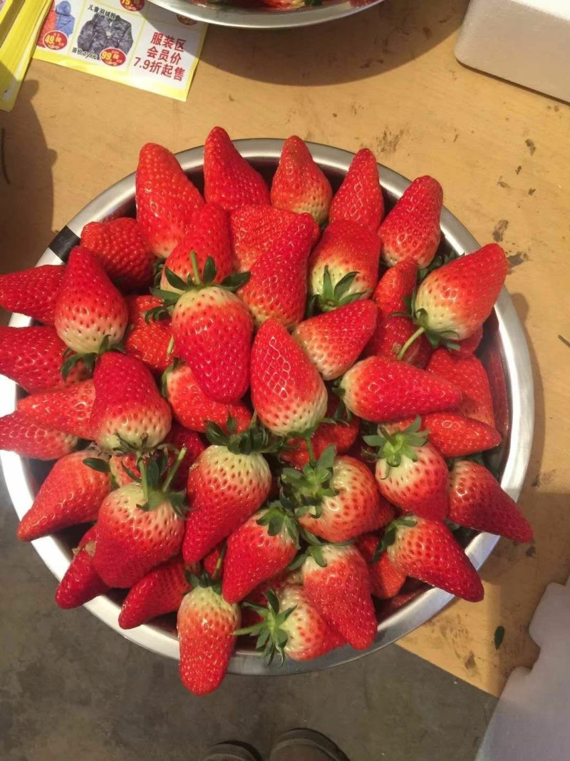 章姬甜宝草莓开始大批量上市。口感好甜度高