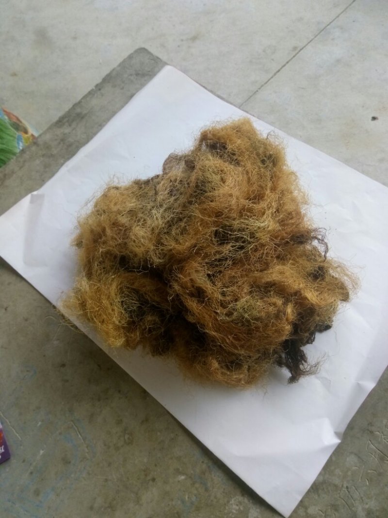 秦岭农家自种成熟无硫玉米须干货中药材