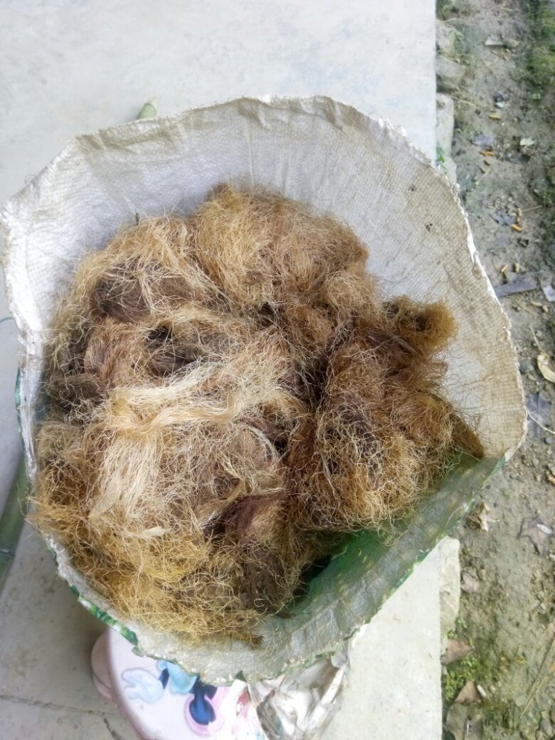 秦岭农家自种成熟无硫玉米须干货中药材