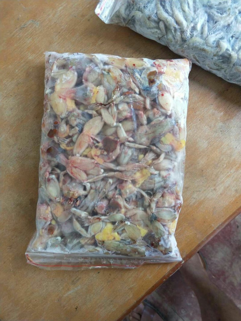 商品青蛙，青蛙苗，放养杂交野兔，野兔苗