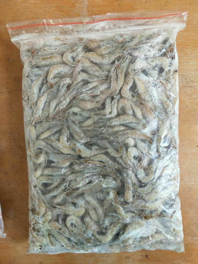 商品青蛙，青蛙苗，放养杂交野兔，野兔苗