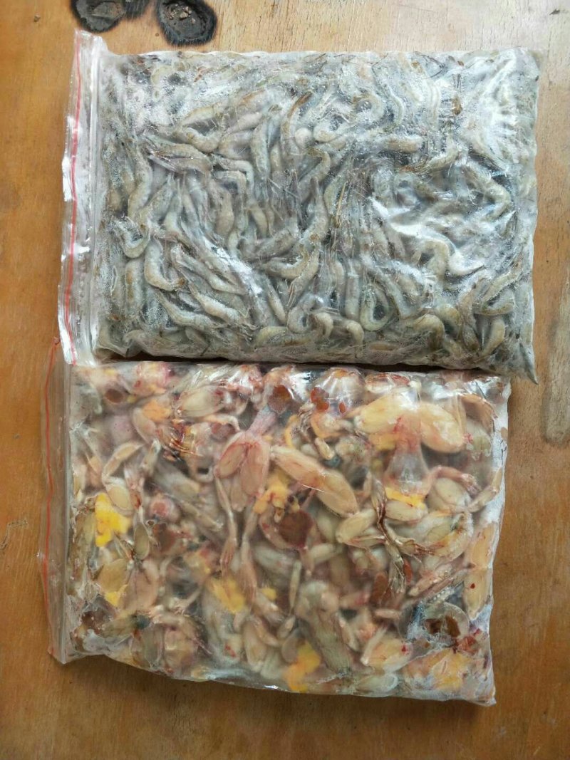 商品青蛙，青蛙苗，放养杂交野兔，野兔苗