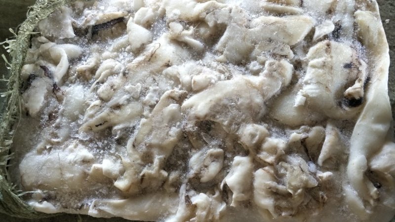 秘鲁鱿鱼碎肉6吨