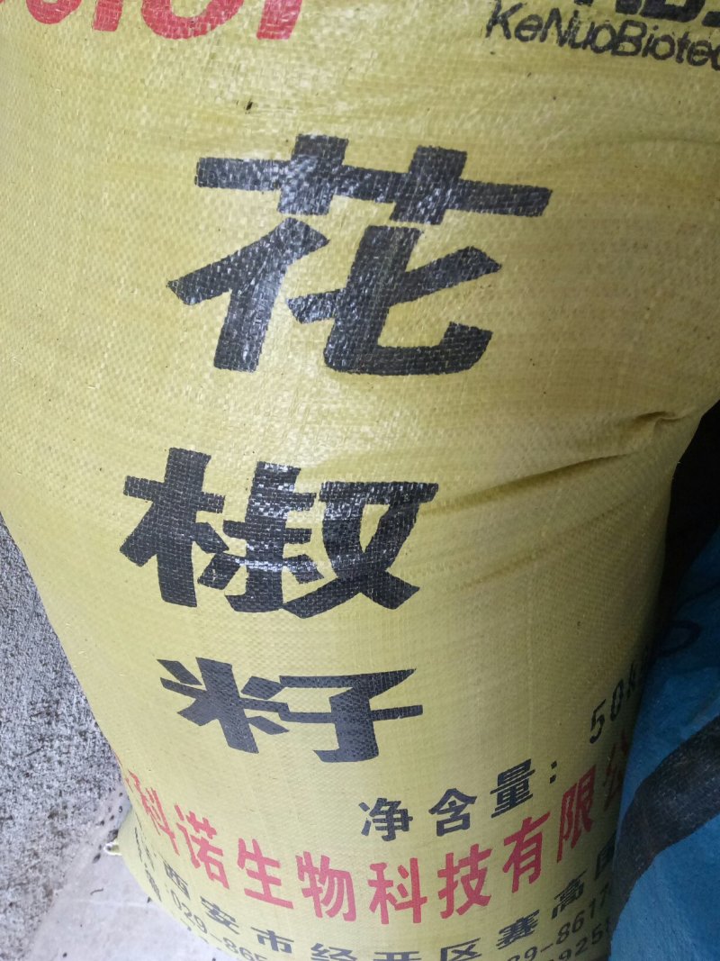 大红袍花椒树苗出售