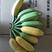 广西南宁香蕉牛角蕉22元8斤净果一件代发包邮