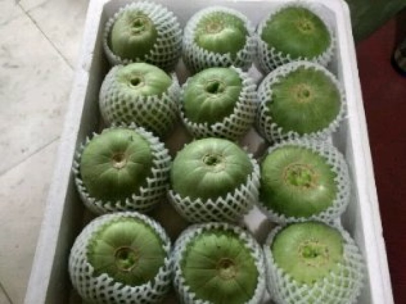 我市场蔬菜大量上市