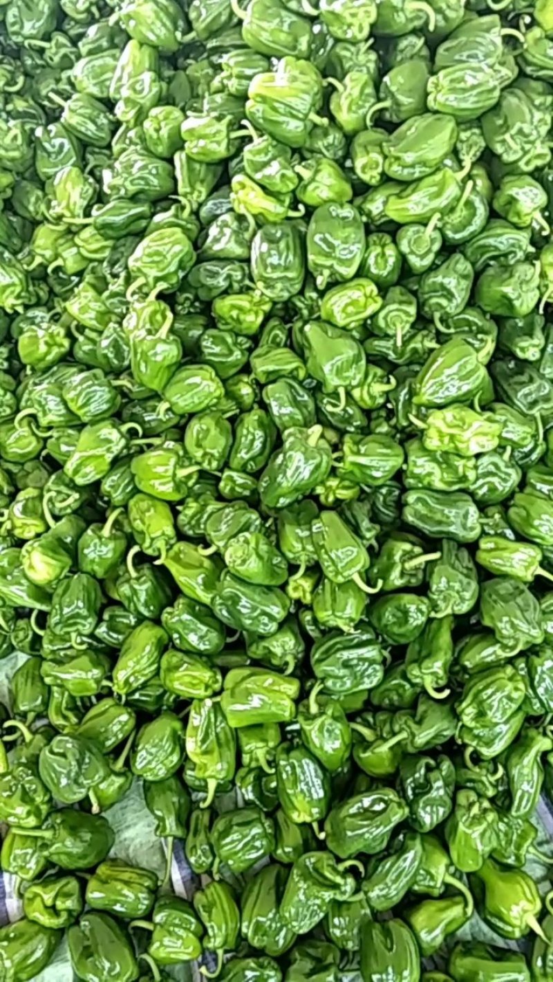 我市场蔬菜大量上市