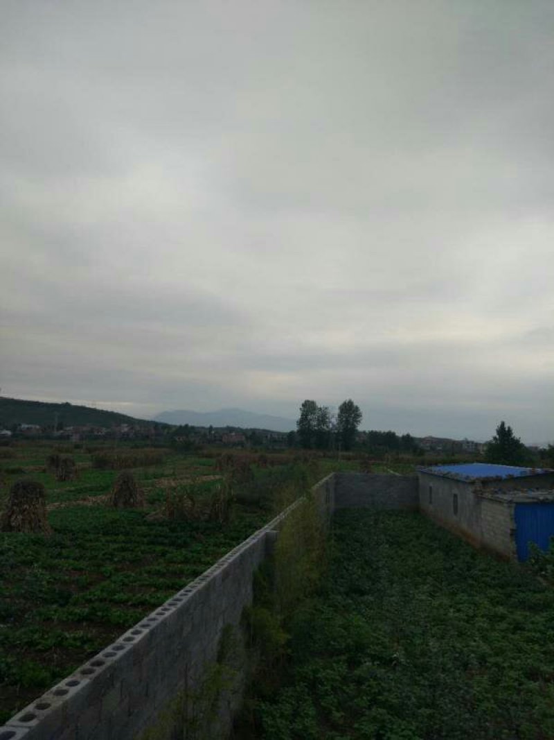 土地昭通市昭阳区50亩旱地出租