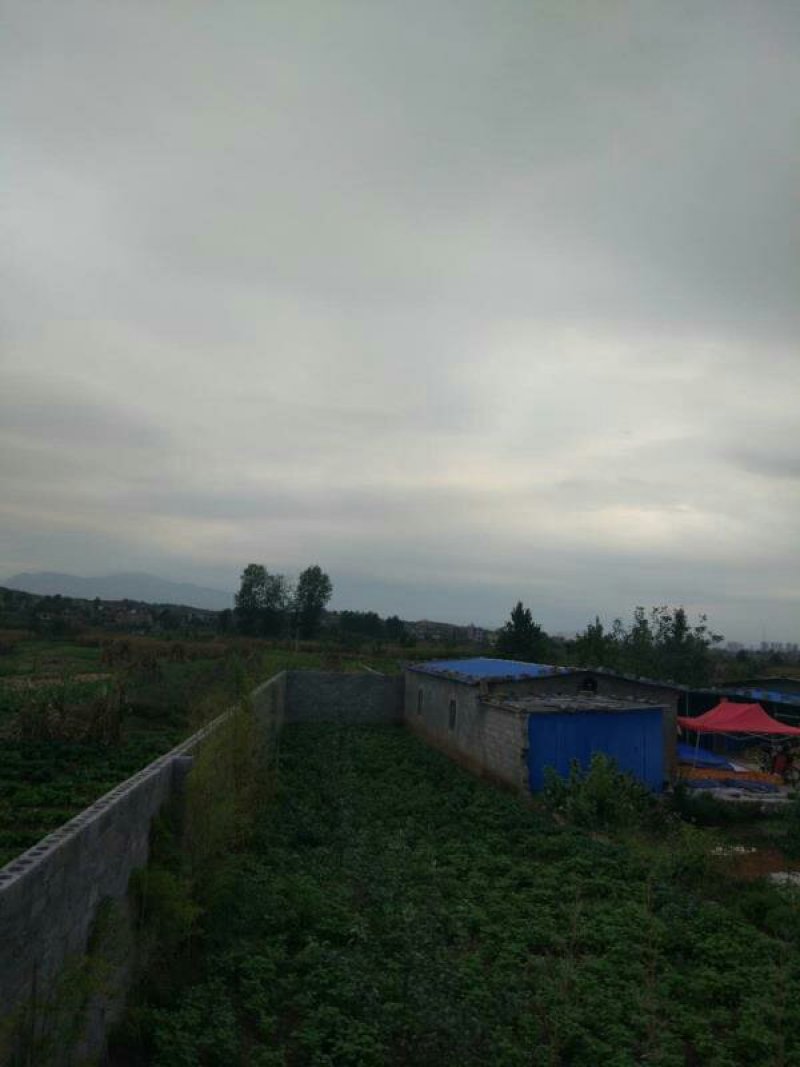 土地昭通市昭阳区50亩旱地出租