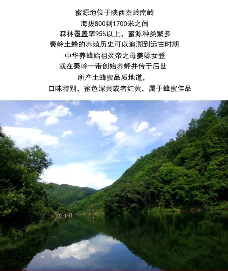陕西土蜂蜜散货瓶装2斤起批包邮