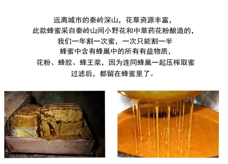 陕西土蜂蜜散货瓶装2斤起批包邮
