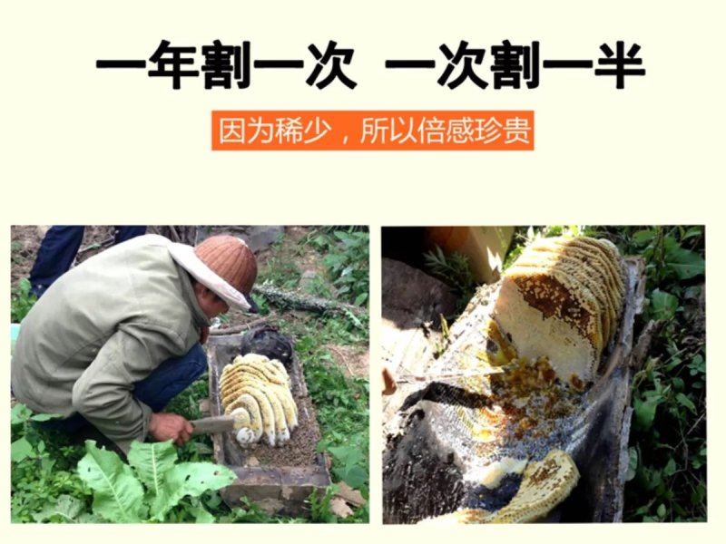 陕西土蜂蜜散货瓶装2斤起批包邮
